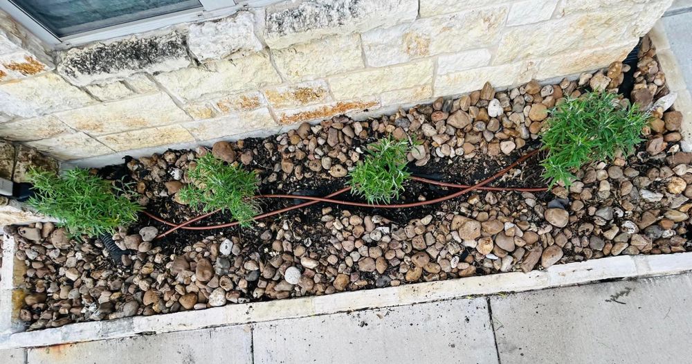 All Photos for Rustic Roots Landscaping in Austin, TX