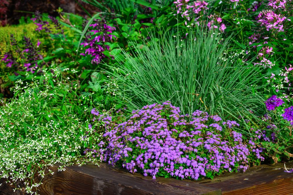 All Photos for Sustainable Lawn and Landscape in Banner Elk, NC