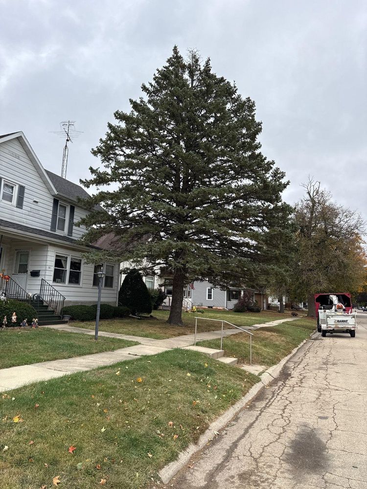 All Photos for Fransen's Tree Service  in Freeport, IL