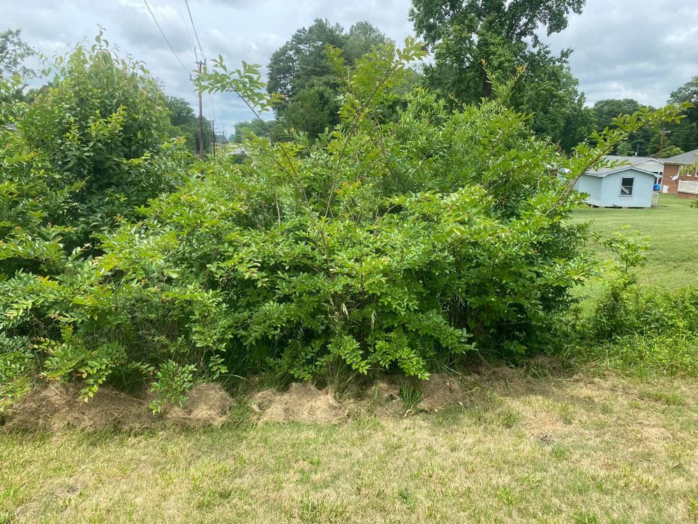 Mulching for America's Top Pick Lawn & Landscaping in Gastonia, NC