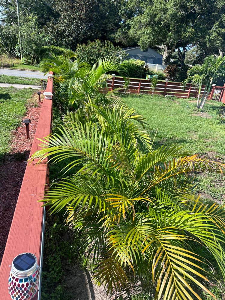 New Summer Projects ‘24 for Team Tolson Landscape in Tampa Bay, FL