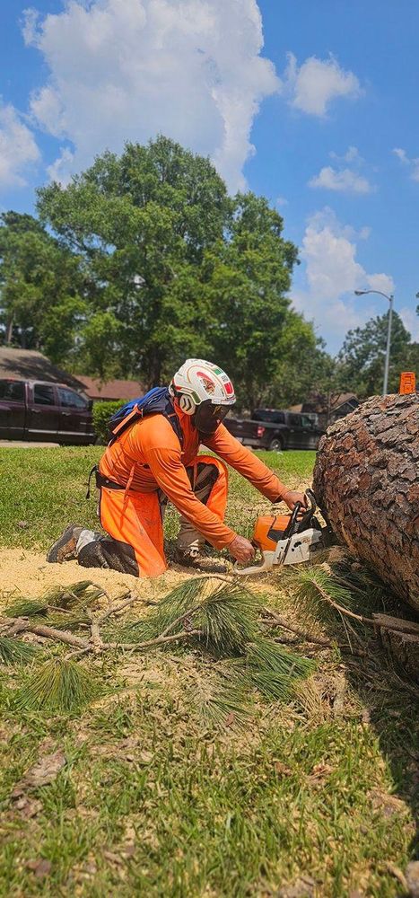 All Photos for Servin's Tree Care  in Houston, TX