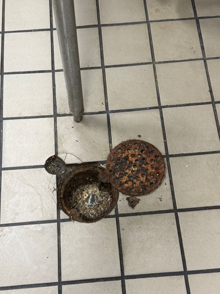 Commercial Pest Control  for All-In Pest Control & Home Solutions in Greene County, IN