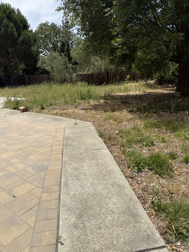 All Photos for CBA Landscaping in Hayward, CA