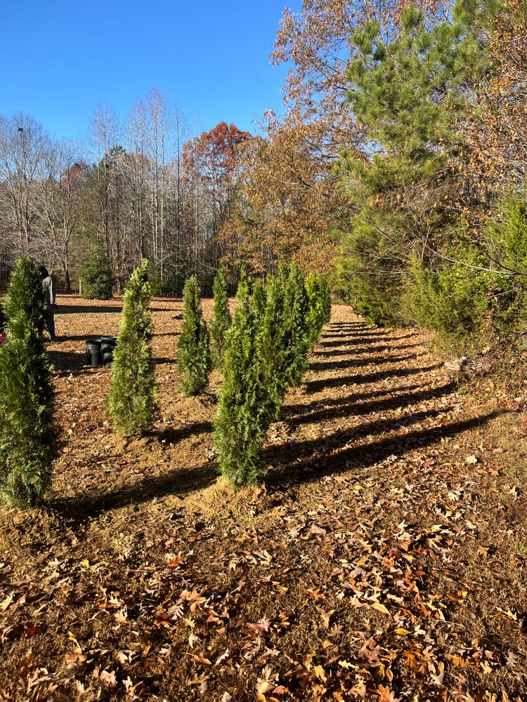 All Photos for Atlas Home Services in Mechanicsville, VA