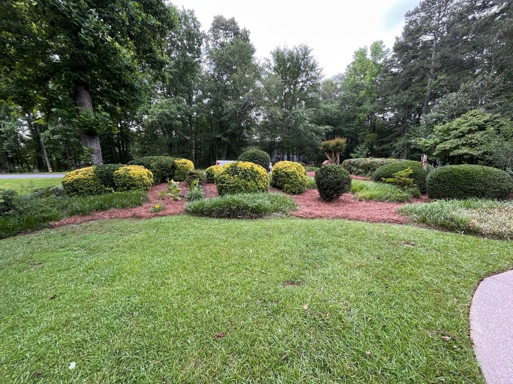 VL Landscaping, LLC team in Cartersville, GA - people or person