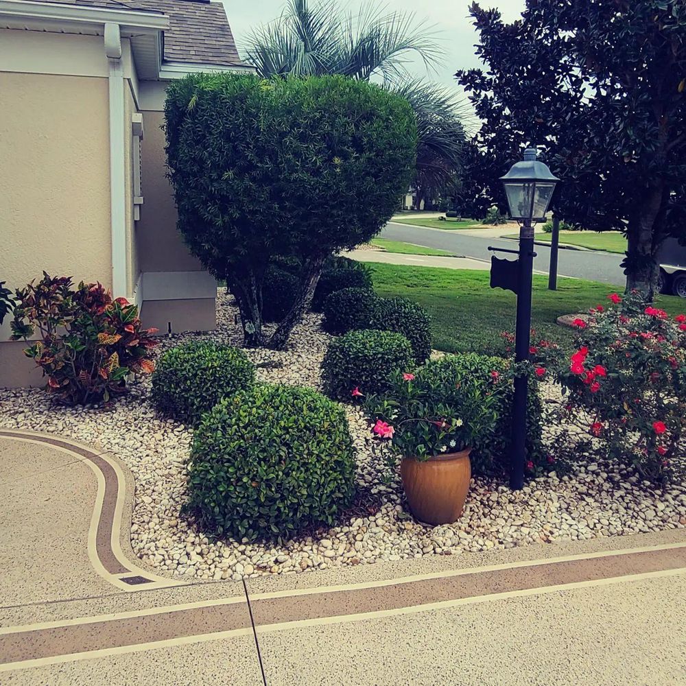 All Photos for TopNotch Landscaping Services  in The Villages, FL