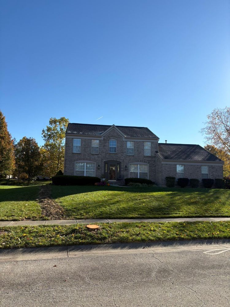 All Photos for Dig-It Tree Company in Mason, OH