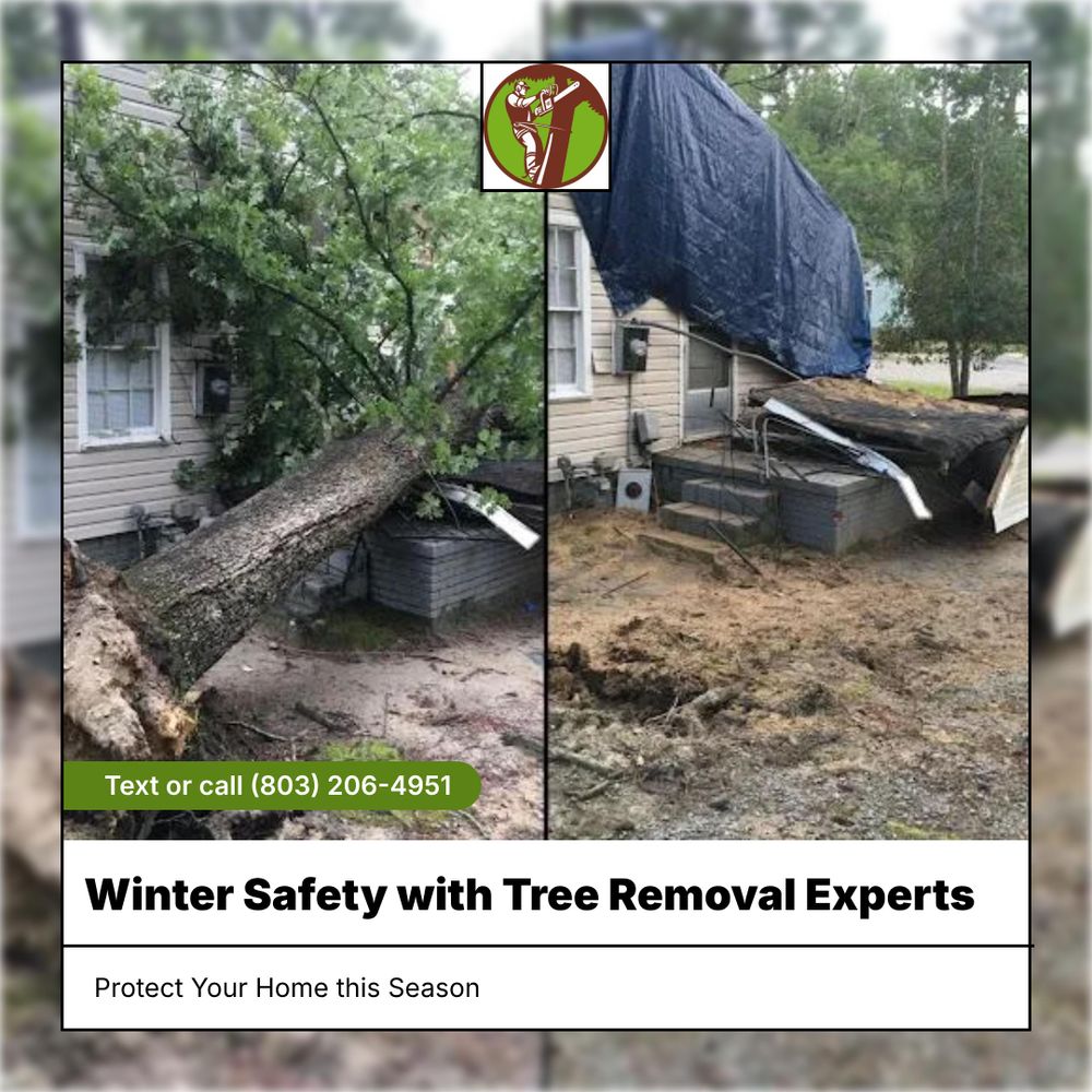 Tree Removal for Tucker's Tree Service and Stump Grinding in Lugoff, SC