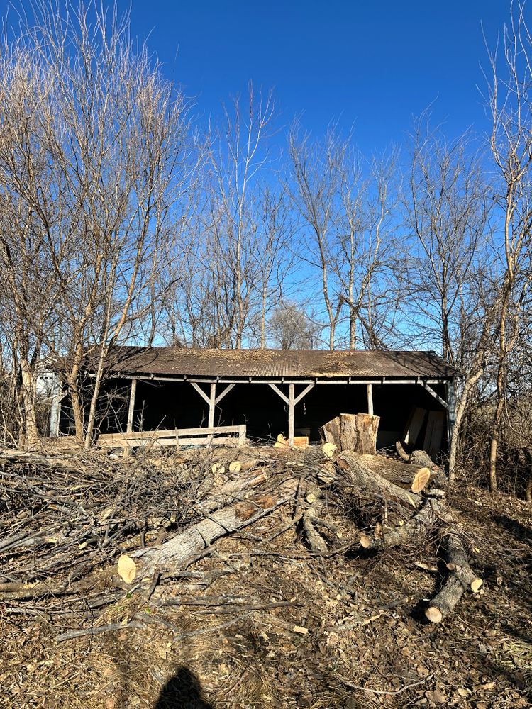 All Photos for Cross Family Tree Service in Kearney, MO