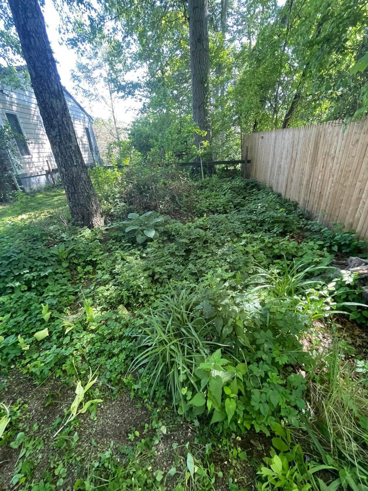 All Photos for Ardisi Property Maintenance LLC in Poughkeepsie, NY 