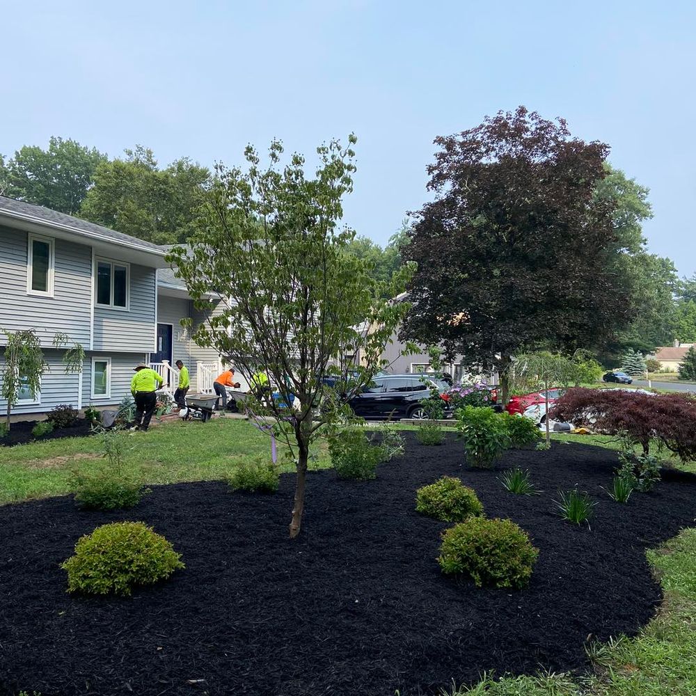 Enhance your landscape with our professional mulch installation service, providing optimal moisture retention, weed control, and soil improvement to ensure healthy growth for your trees and vibrant outdoor spaces. for Dextre Tree Service in West Hartford, CT