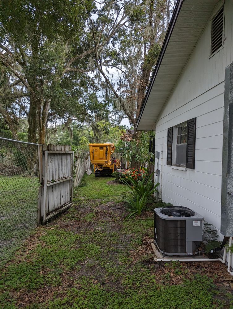 All Photos for Regal Tree Service and Stump Grinding in Wauchula, FL