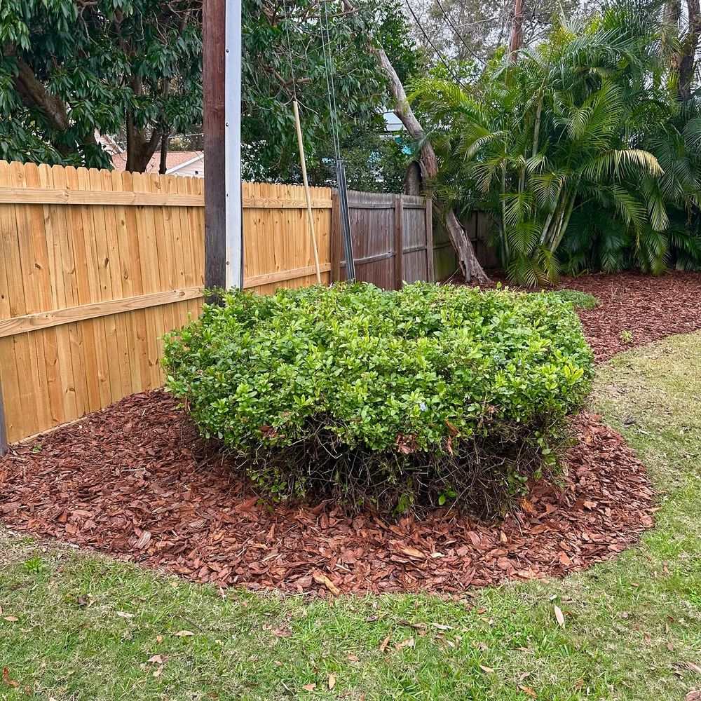 All Photos for GS Lawn & Landscape in Clearwater, FL