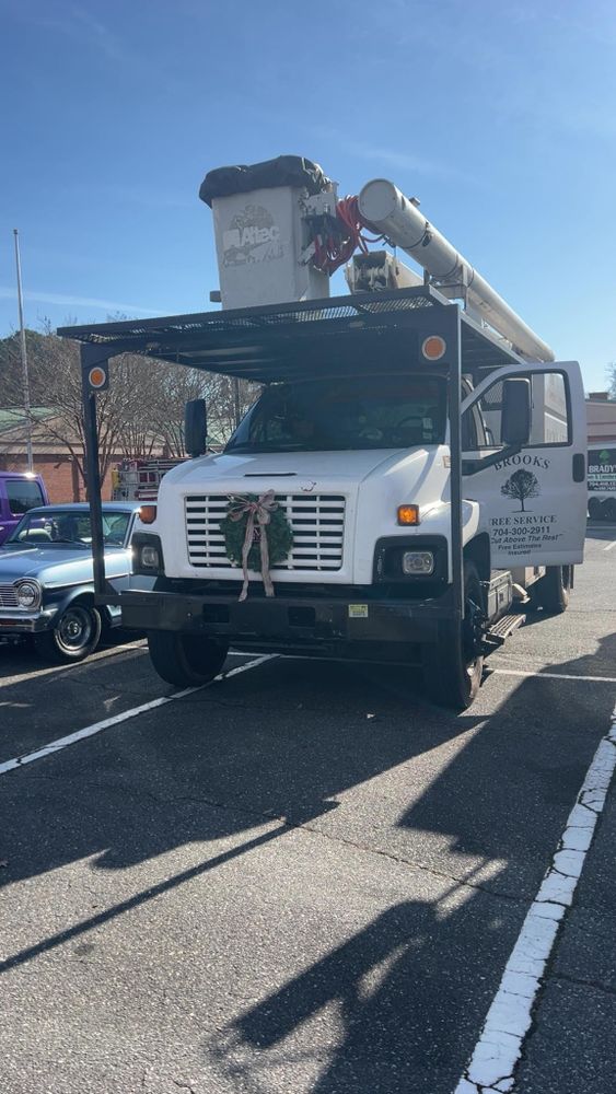 All Photos for Brooks Tree Service in Casar, NC