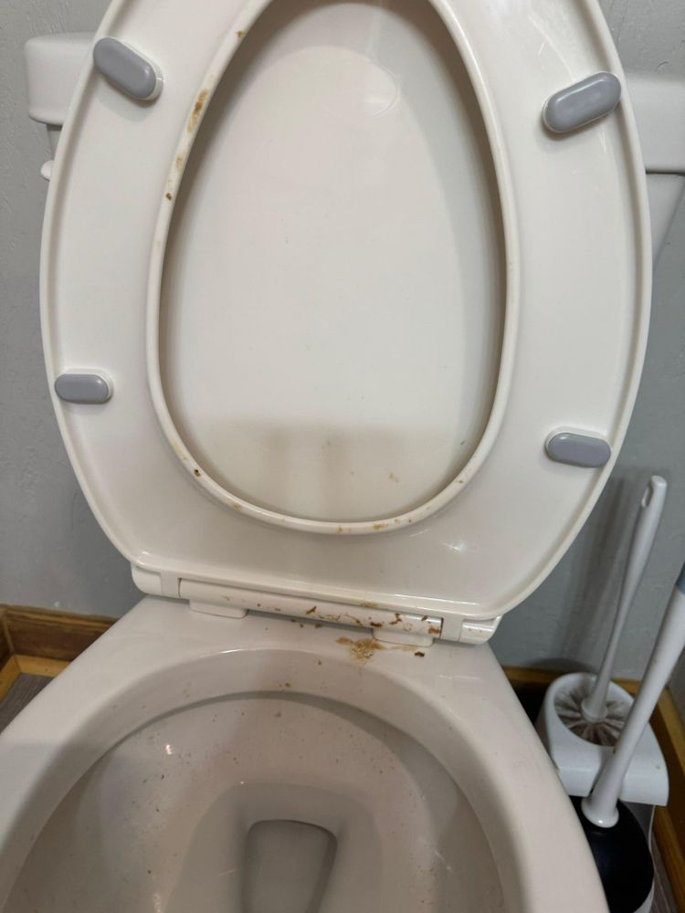 All Photos for A+ Cleaning and Services LLC in Deep Creek Lake, MD 