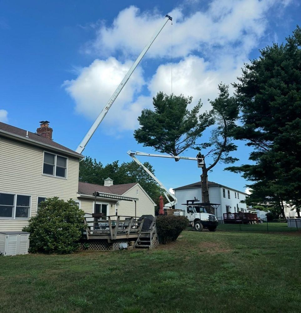 All Photos for BW Outdoor Solutions in Newton, NJ