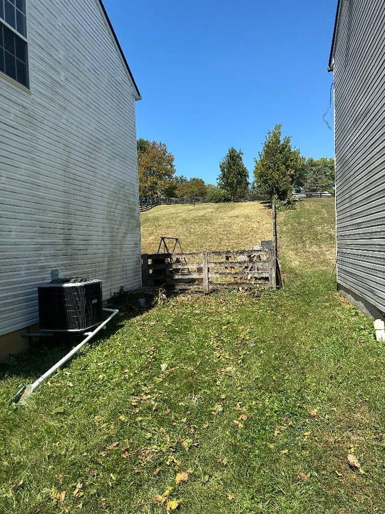 All Photos for Kingdom Tree Trimming and Removal LLC in Covington, KY