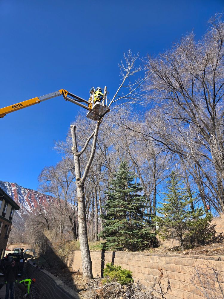 All Photos for LRS: Landscape, Rescue, Snow in Silt, CO