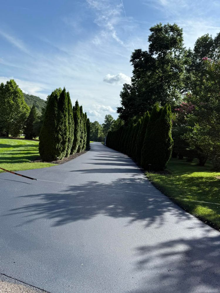 All Photos for Asphalt Animals in Sevierville, TN