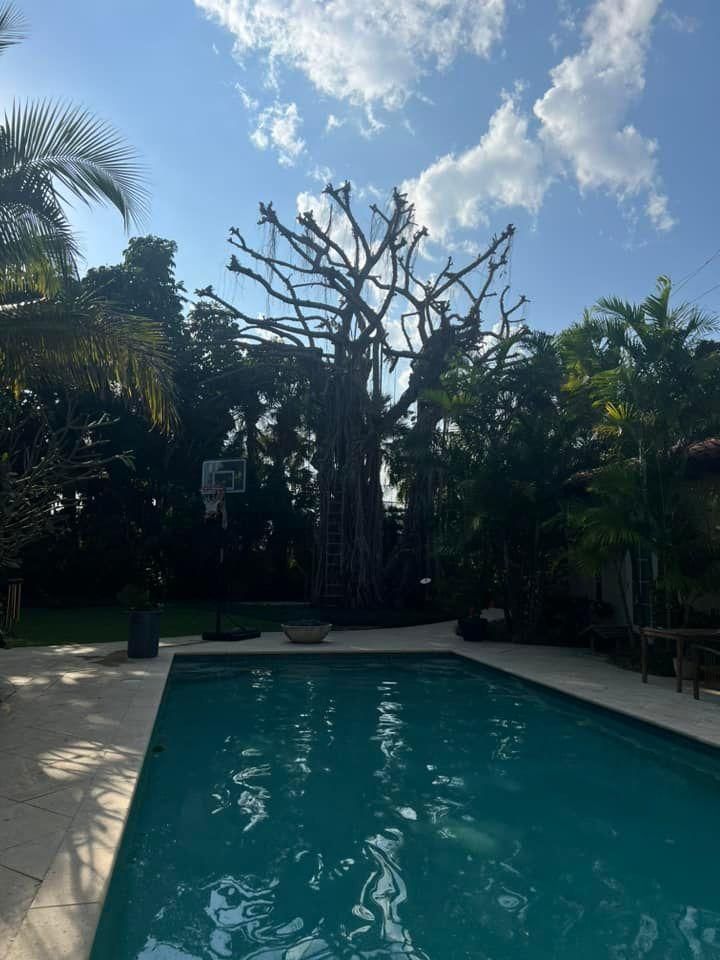 All Photos for Rey Landscaping & Lawn service LLC in West Palm Beach,  FL