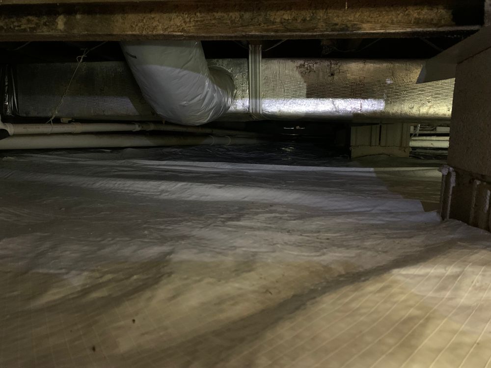 All Photos for All-In Pest Control & Home Solutions in Greene County, IN