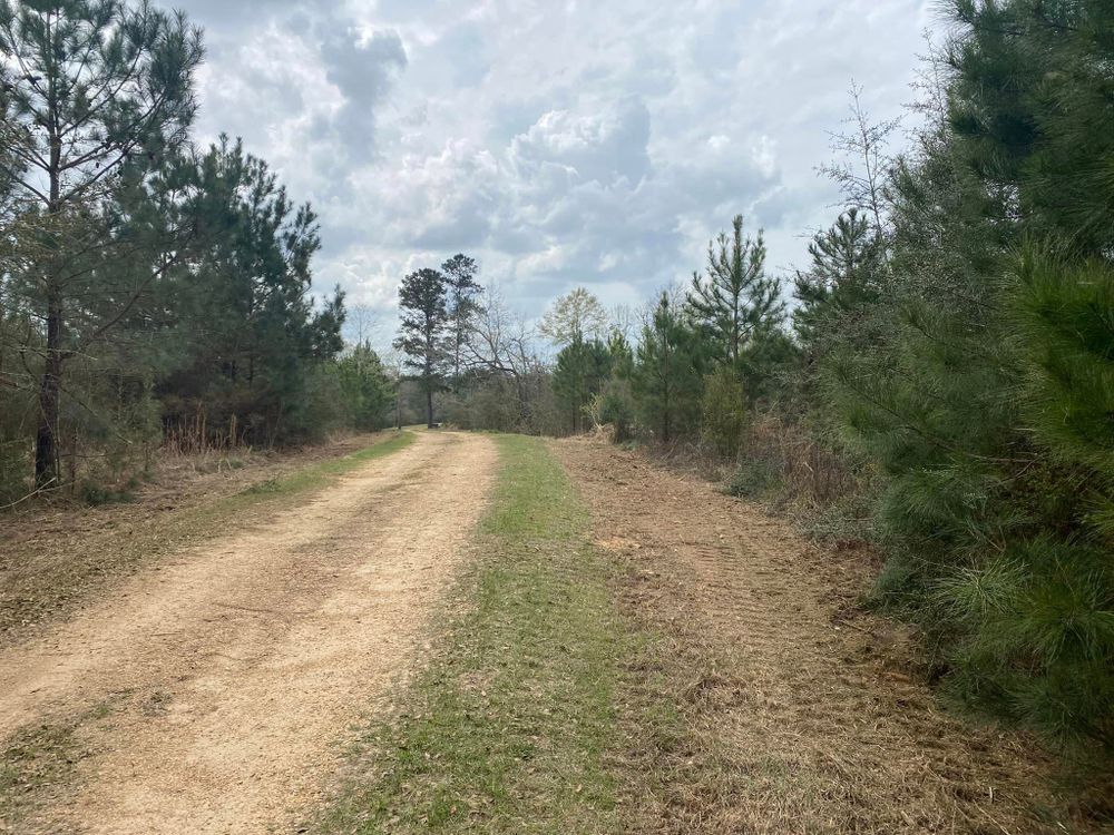 Land Clearing for South Mississippi Land Management LLC in Columbia, Mississippi