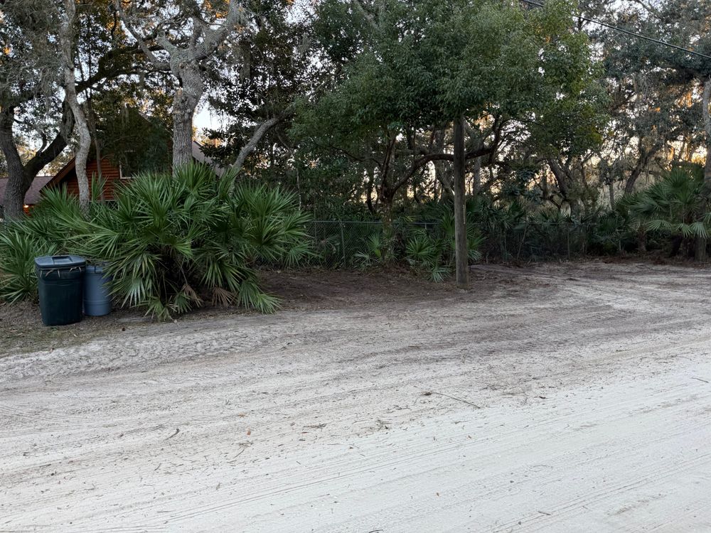 All Photos for Amerigrown Tree And Lawn in Apopka, FL