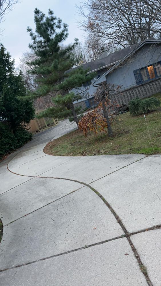 All Photos for Quick Removal Solutions in Lansing, MI