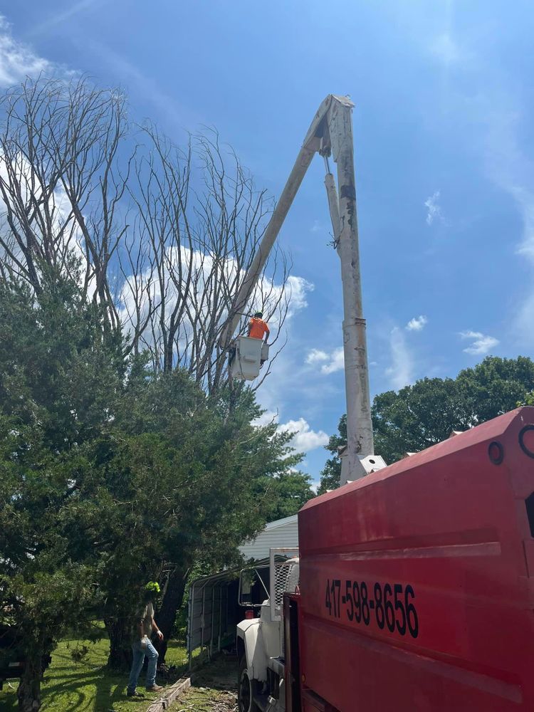 H n H Tree Service team in Taneyville, MO - people or person