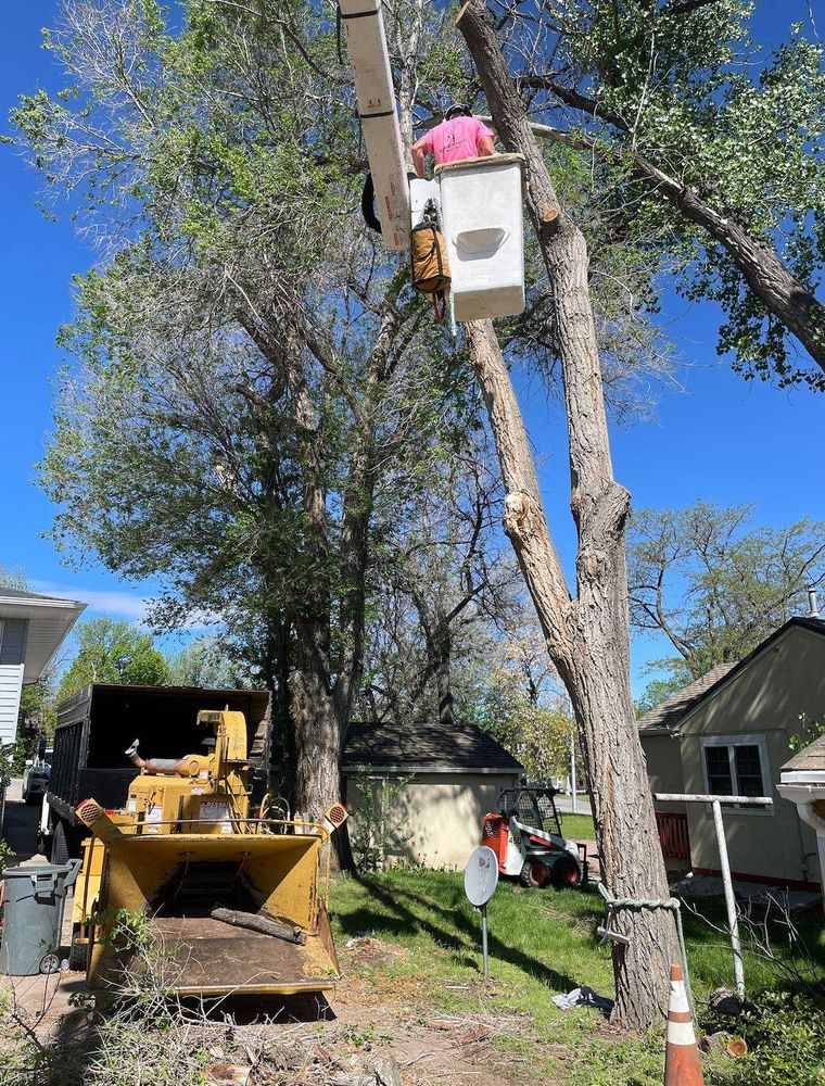 All Photos for Clean Cut Tree Service in Gillette, WY