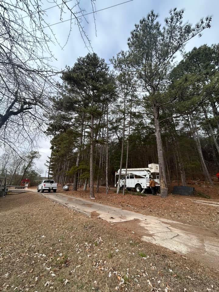 Tree Removal and Trimming for Chipper's Tree Service  in Fort Payne, AL