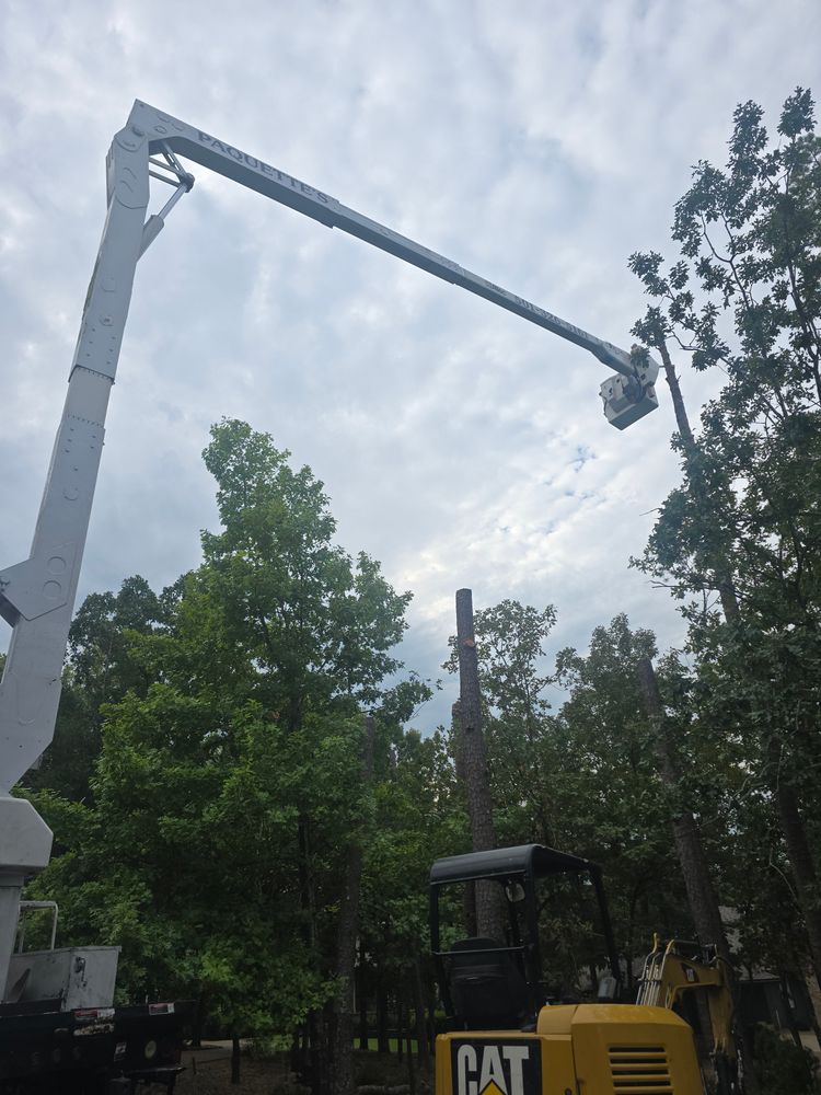 All Photos for Paquette's Tree Service in Malvern, AR