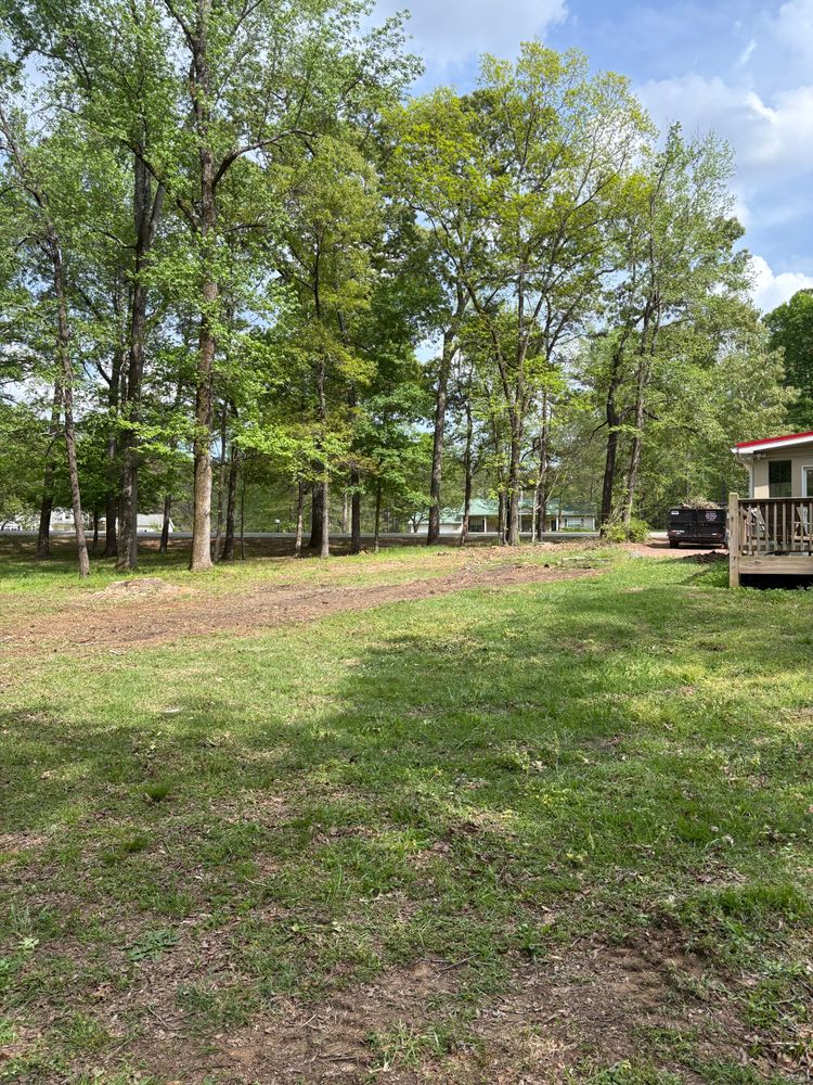 All Photos for T N L - Tree and Land Service in Reynolds, GA