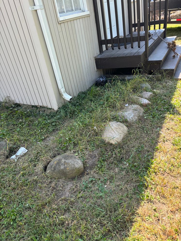 Landscaping for Cena Landscaping in Rockford, IL