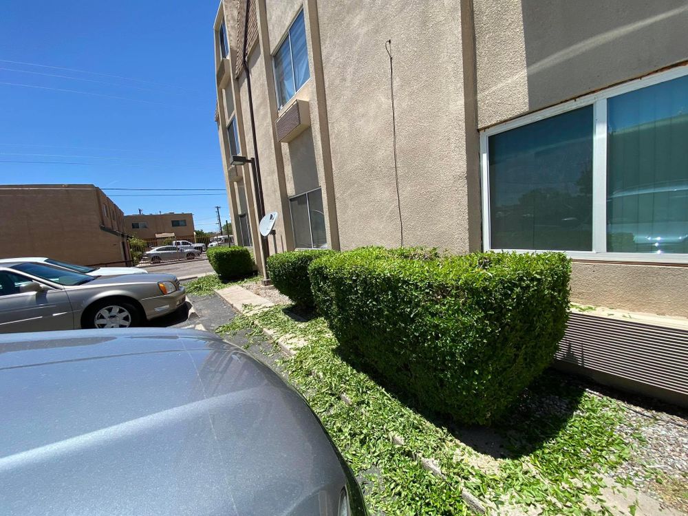 All Photos for Tree Service Miracles in Albuquerque, NM