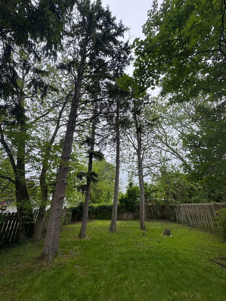 All Photos for Harpers Landscaping in Fredonia, NY