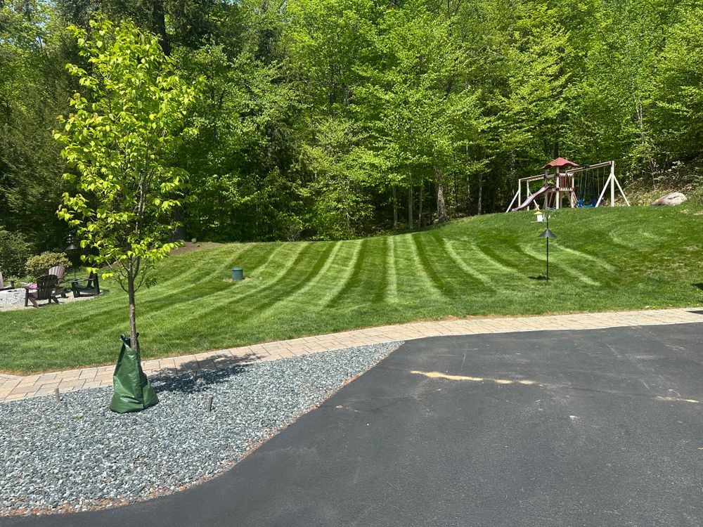 All Photos for Thomas Clifford Property Services LLC in Enfield, NH