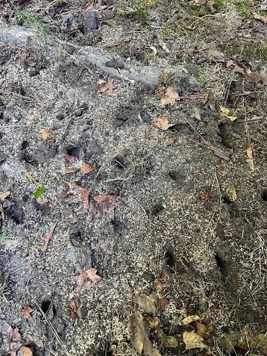 All Photos for Atlas Home Services in Mechanicsville, VA