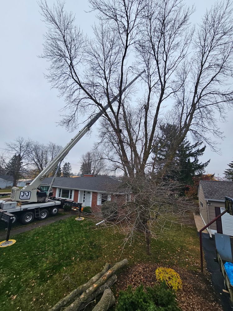 All Photos for Down To Earth Tree Service in Red Wing,  Minnesota