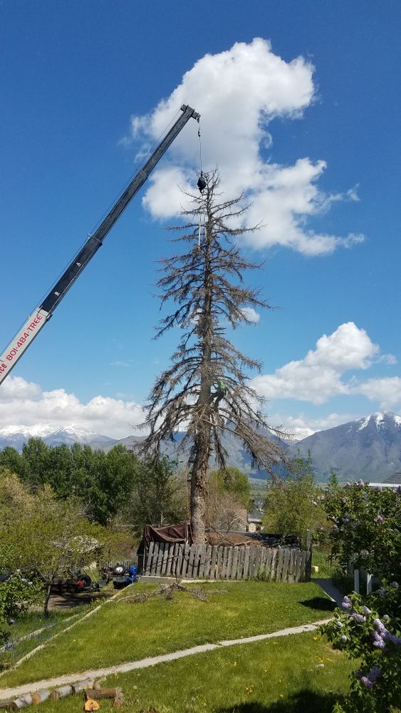 All Photos for Platinum Lawn Service in Santaquin, UT