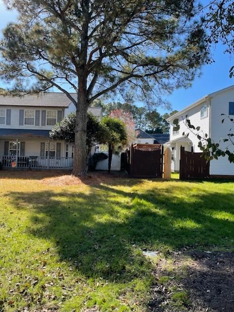 All Photos for Beach Tree Care in Virginia Beach, VA