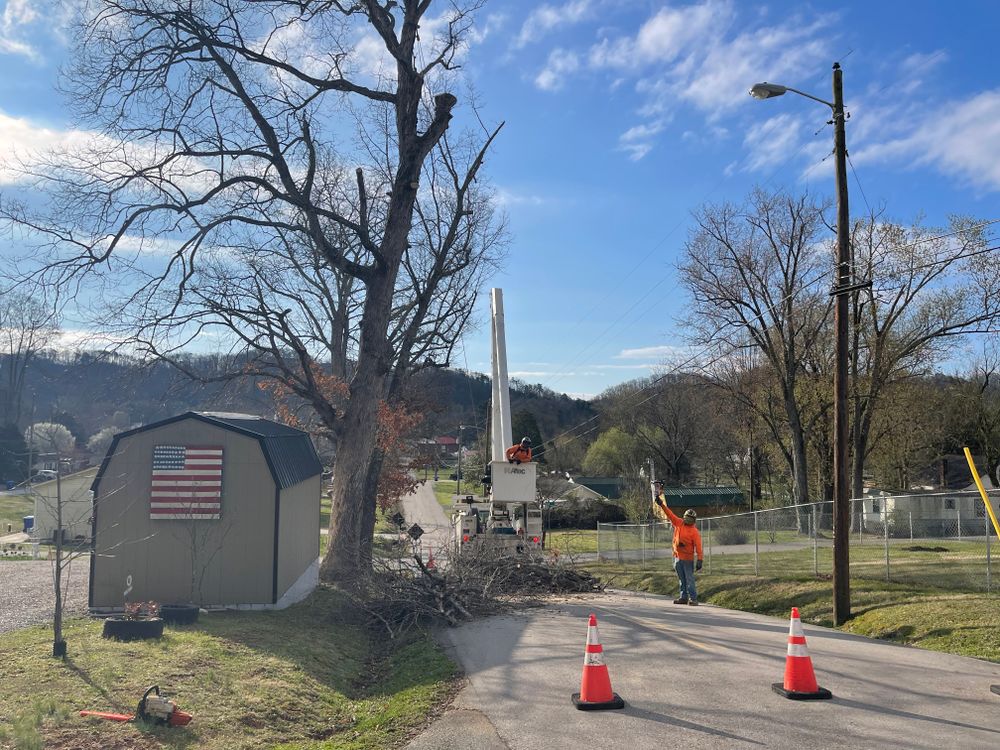 All Photos for Lucky’s Tree Removal and Landscape Services in Knoxville, TN