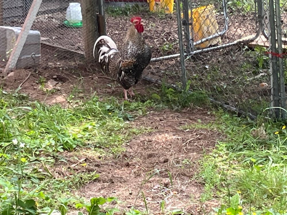 All Photos for Duluth Pro Junk Hauling Removal Service in Duluth, MN