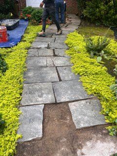 Hardscaping for Premier Tuckpointing Masonry Repairs in Arlington, VA