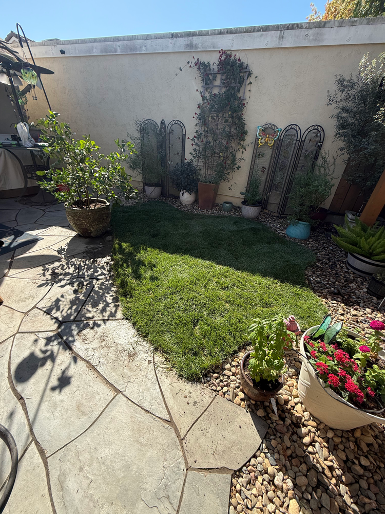 All Photos for CBA Landscaping in Hayward, CA