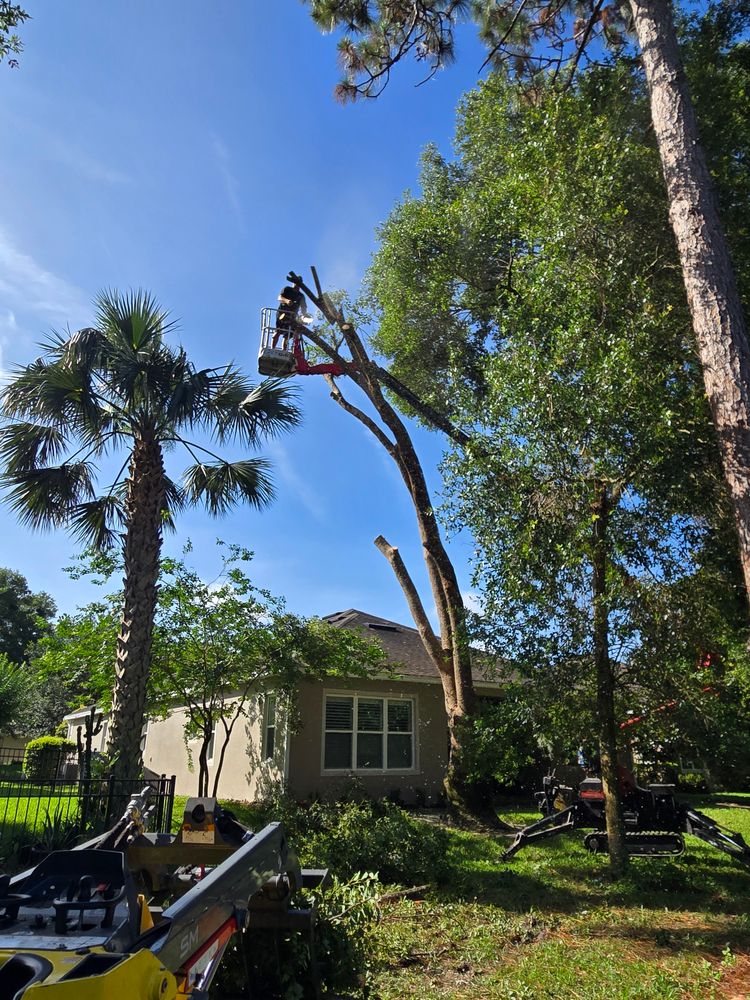 All Photos for Near Me Tree Service, Inc. in DeLand, FL