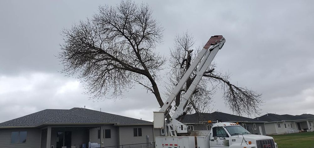 All Photos for Uprooted LLC in Norfolk, NE