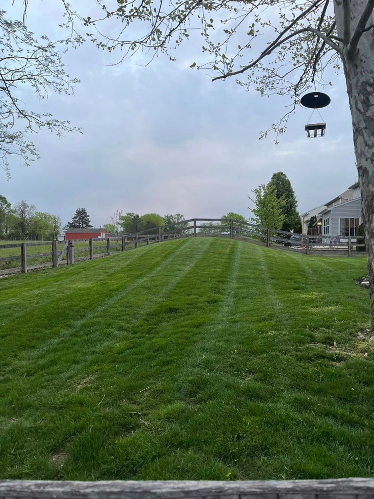 Lawn Care for Cincinnati’s Finest Landscape Services LLC in Cincinnati, OH