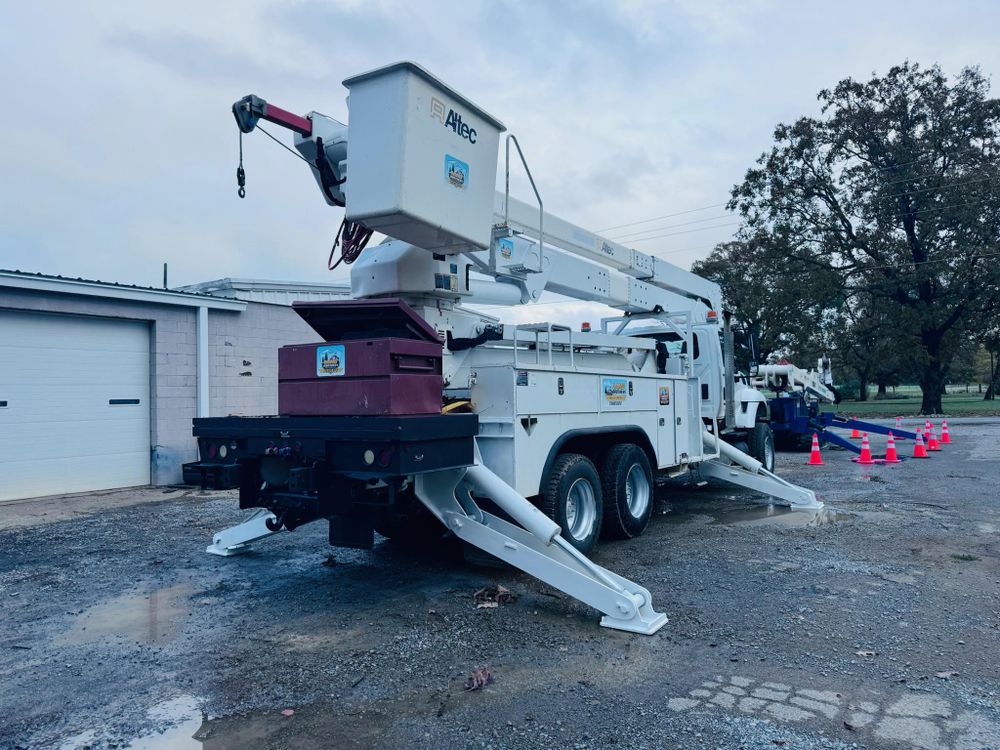 All Photos for Lamb Brothers Clearing in Murray, KY